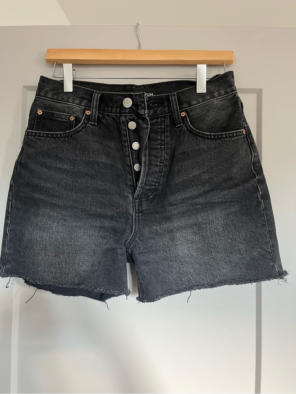 Aritzia Denim Forum Jean Shorts